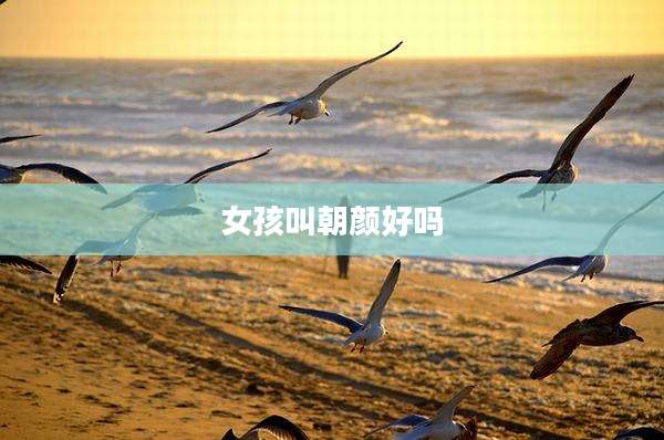 女孩叫朝颜好吗