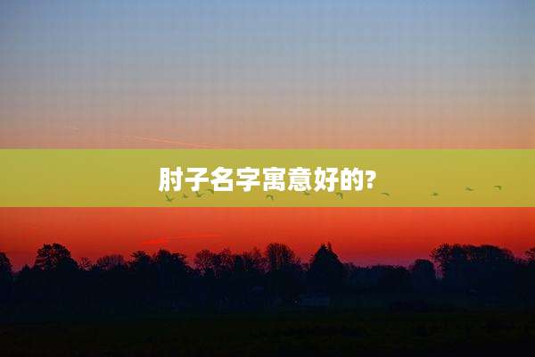 肘子名字寓意好的?
