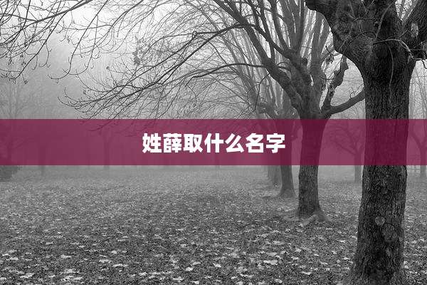 姓薛取什么名字