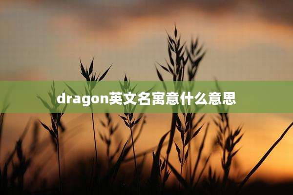dragon英文名寓意什么意思