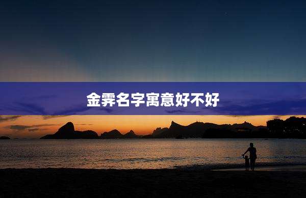 金霁名字寓意好不好