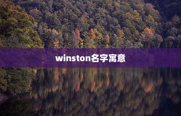 winston名字寓意