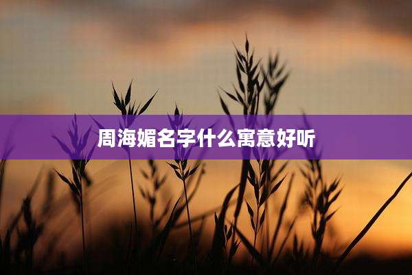 周海媚名字什么寓意好听