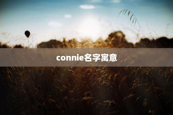 connie名字寓意