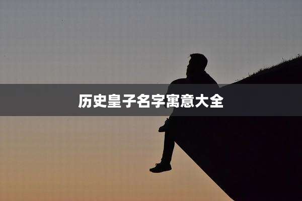 历史皇子名字寓意大全