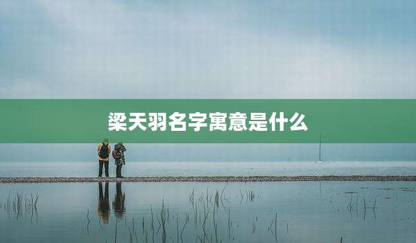 梁天羽名字寓意是什么