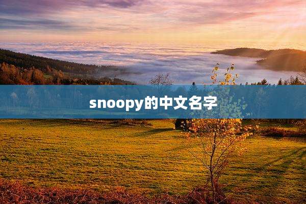 snoopy的中文名字