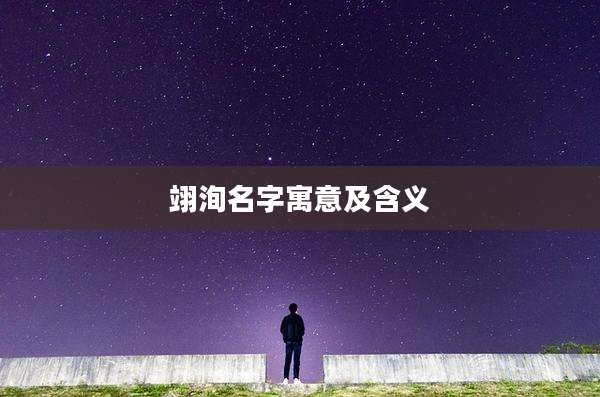 翊洵名字寓意及含义