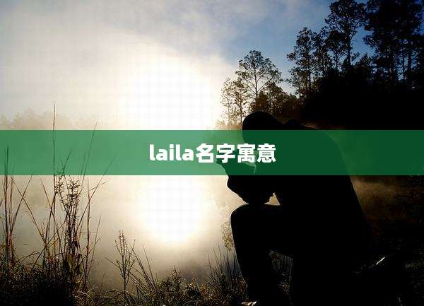 laila名字寓意