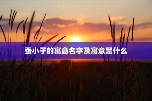 蚕小子的寓意名字及寓意是什么
