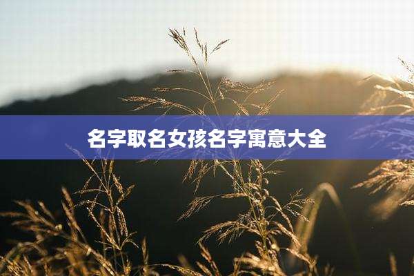 名字取名女孩名字寓意大全