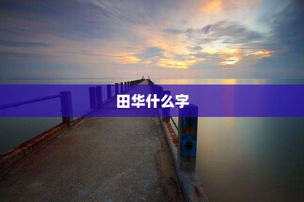 田华什么字