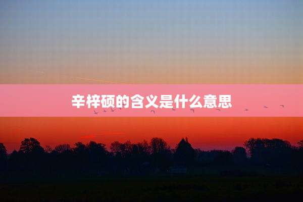 辛梓硕的含义是什么意思