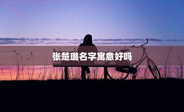 张楚璐名字寓意好吗