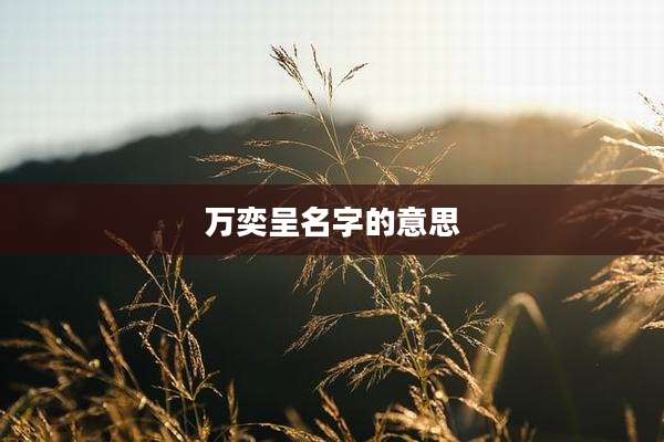 万奕呈名字的意思
