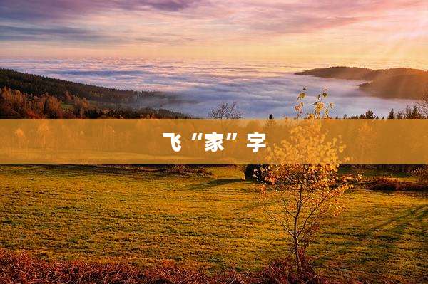 飞“家”字