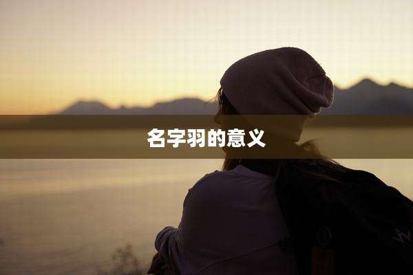 名字羽的意义