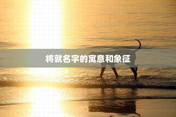 将就名字的寓意和象征