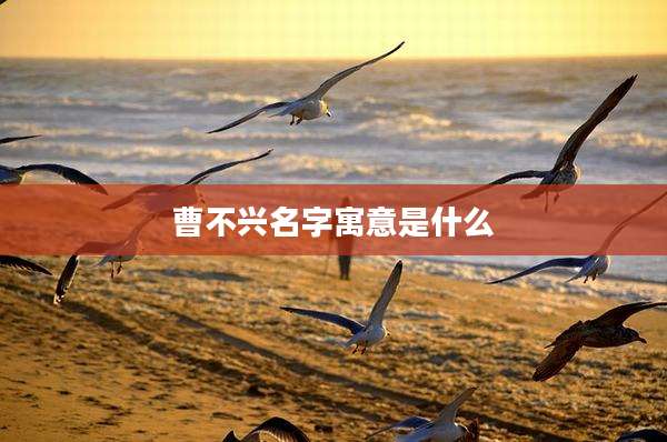 曹不兴名字寓意是什么