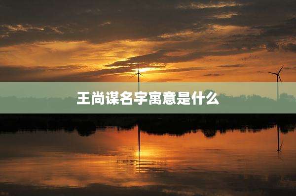王尚谋名字寓意是什么
