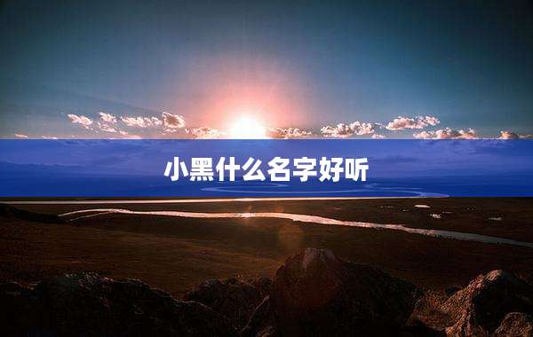 小黑什么名字好听