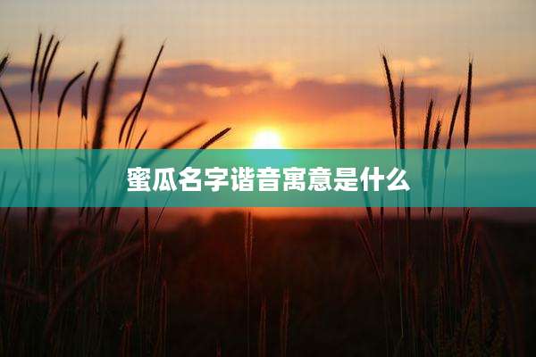 蜜瓜名字谐音寓意是什么