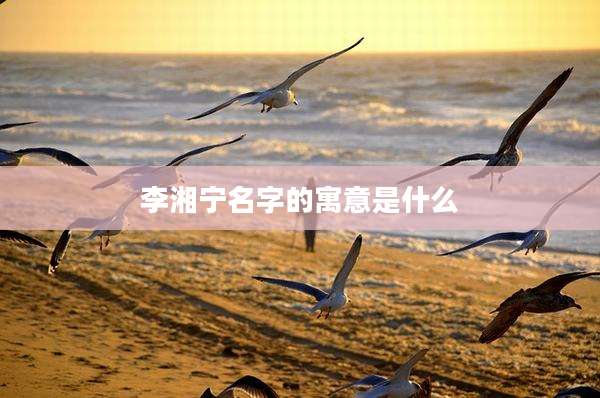 李湘宁名字的寓意是什么