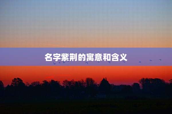 名字紫荆的寓意和含义