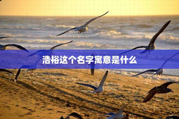 浩裕这个名字寓意是什么