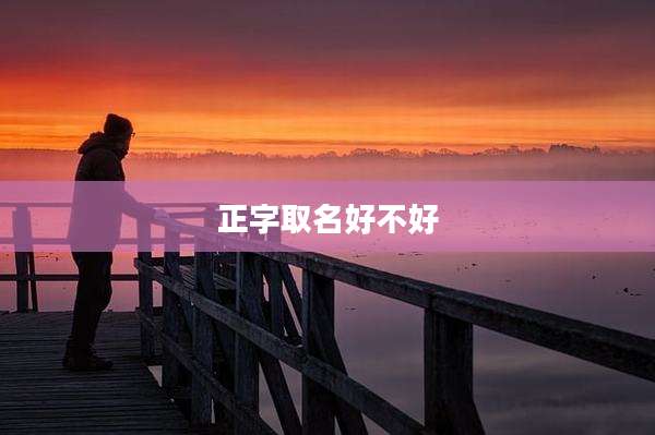 正字取名好不好