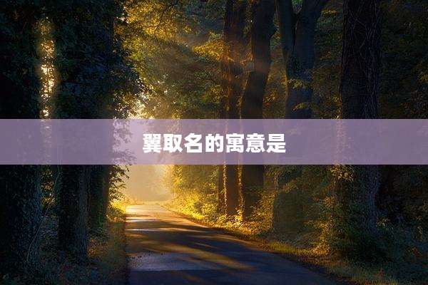 翼取名的寓意是
