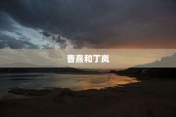 曹熹和丁岚
