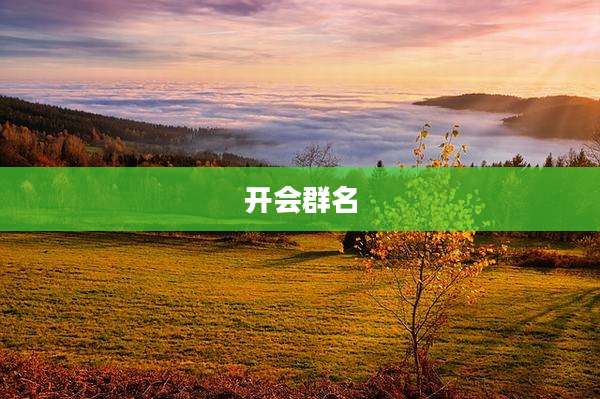 开会群名