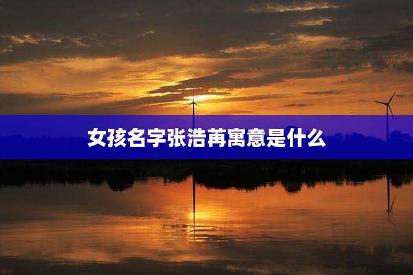 女孩名字张浩苒寓意是什么