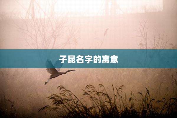 子昆名字的寓意