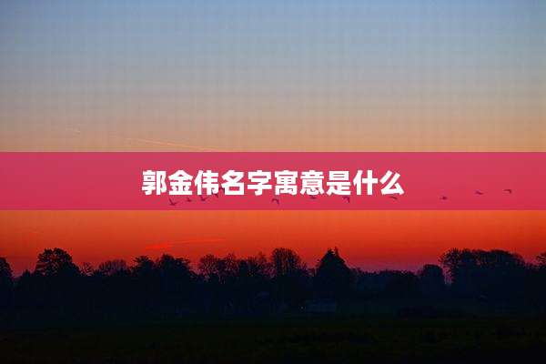 郭金伟名字寓意是什么