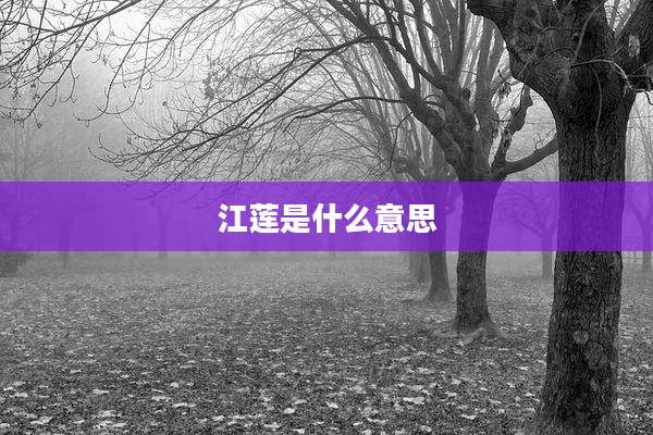江莲是什么意思