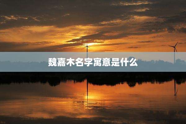 魏嘉木名字寓意是什么