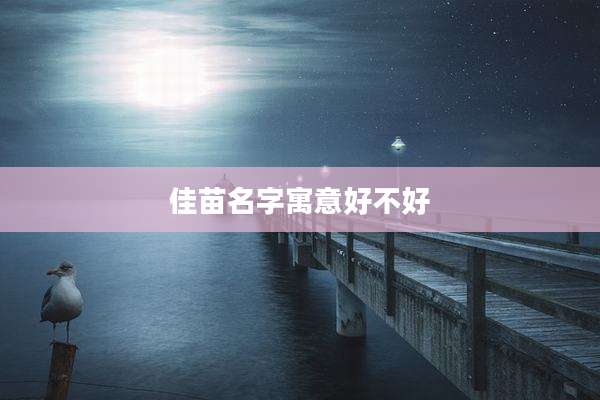 佳苗名字寓意好不好
