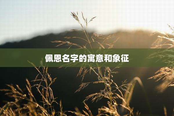 佩恩名字的寓意和象征