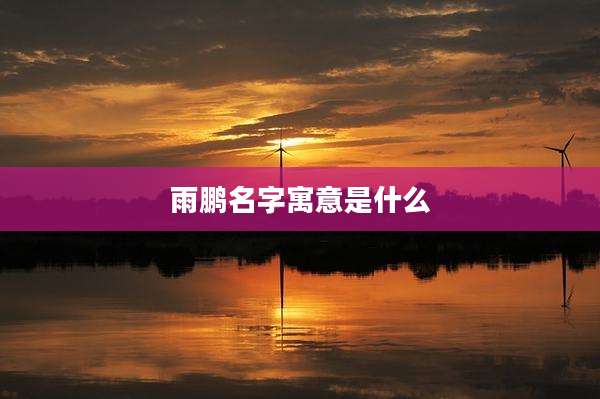 雨鹏名字寓意是什么