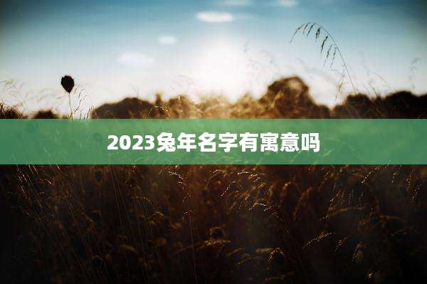2023兔年名字有寓意吗