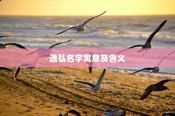 逸弘名字寓意及含义