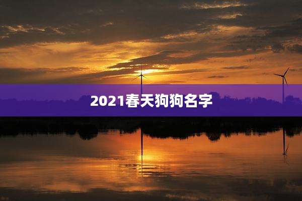 2021春天狗狗名字