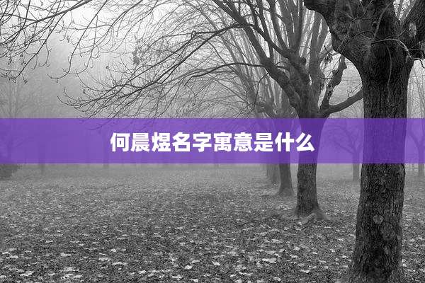 何晨煜名字寓意是什么