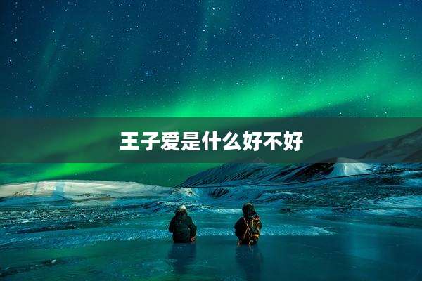 王子爱是什么好不好