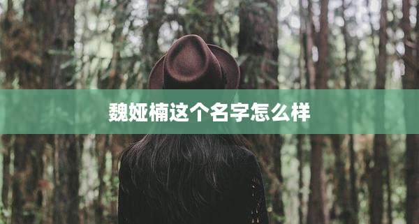 魏娅楠这个名字怎么样