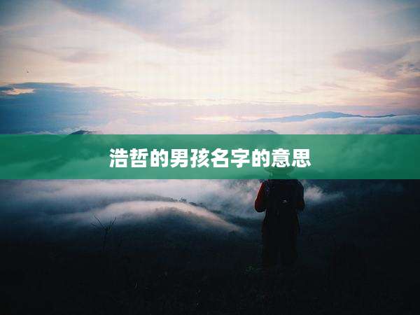 浩哲的男孩名字的意思