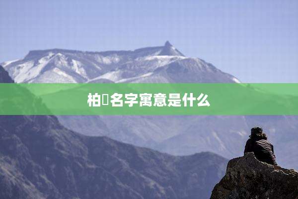 柏赟名字寓意是什么