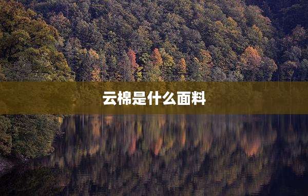云棉是什么面料